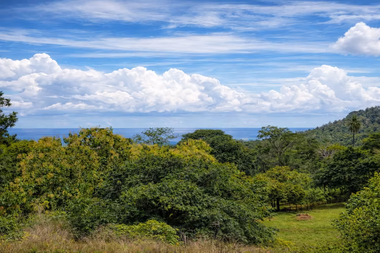 FINCA EN VENTA. SAMARA, GUANACASTE. VISTA AL MAR. EXCLUSIVA. - Imagen 2