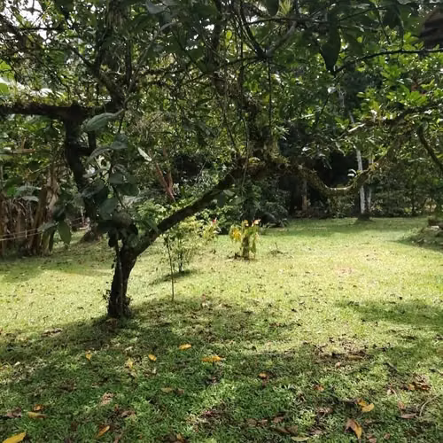 Quinta en Guápiles/uso de suelo residencial-plano - Imagen 4