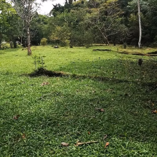 Se vende finca en Guápiles -Limón - Imagen 2