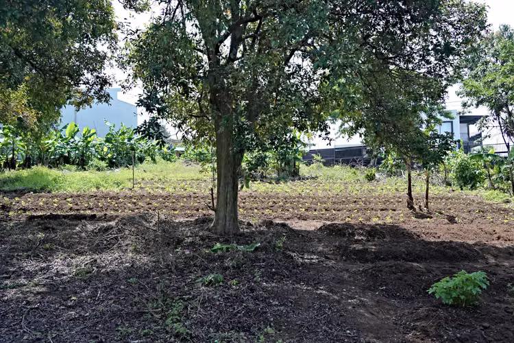 Venta de Finca en Concepción de San Rafael de Heredia