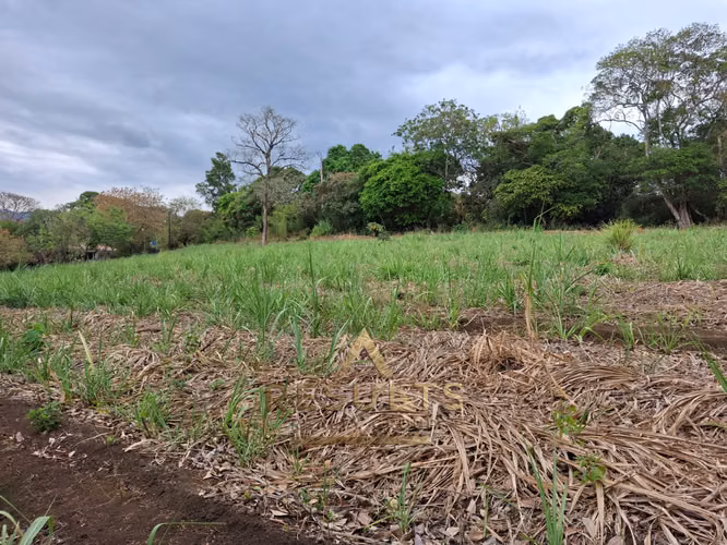 NUEVO! 16 ha USO Industrial cerca de Panduit y el nuevo estadio de fútbol!