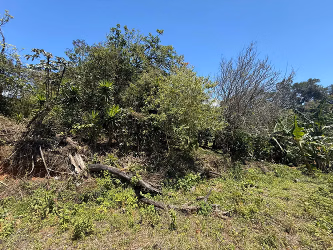 Vendo Hermoso Lote Santa Elena de Monteverde - Imagen 13