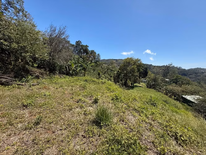 Vendo Hermoso Lote Santa Elena de Monteverde - Imagen 10