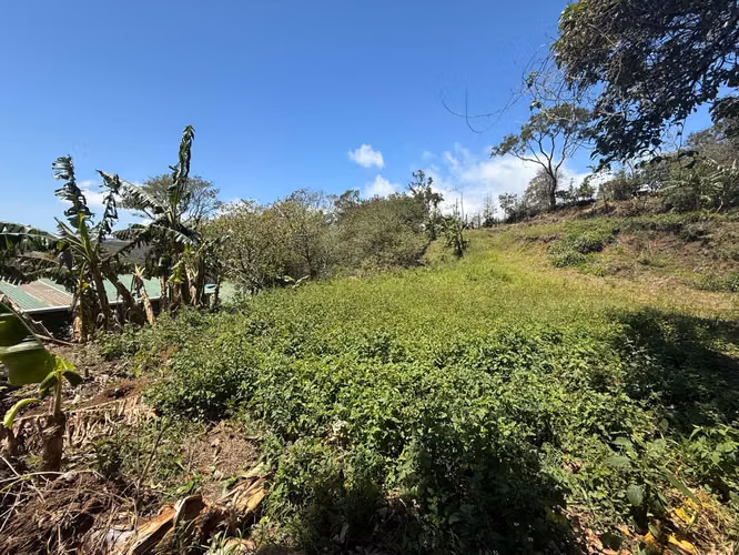 Vendo Hermoso Lote Santa Elena de Monteverde - Imagen 5