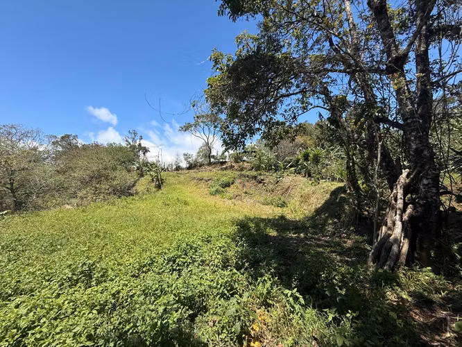 Vendo Hermoso Lote Santa Elena de Monteverde - Imagen 3