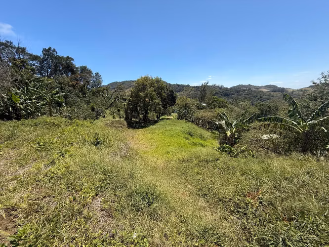Vendo Hermoso Lote Santa Elena de Monteverde - Imagen 15