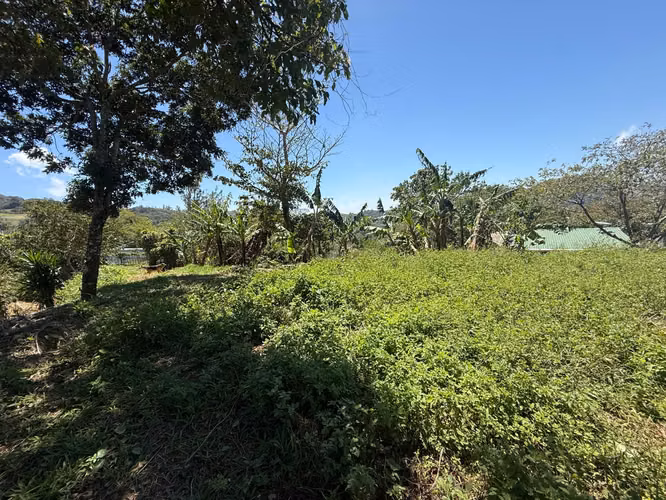Vendo Hermoso Lote Santa Elena de Monteverde - Imagen 7