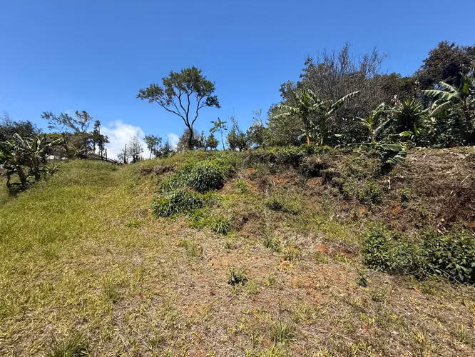 Vendo Hermoso Lote Santa Elena de Monteverde - Imagen 8