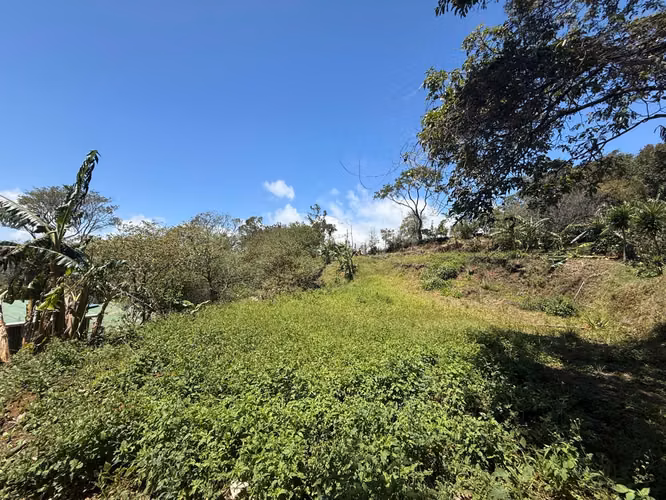 Vendo Hermoso Lote Santa Elena de Monteverde - Imagen 4