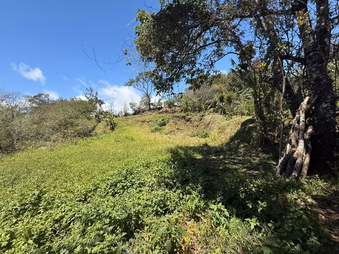 Vendo Hermoso Lote Santa Elena de Monteverde - Imagen 6