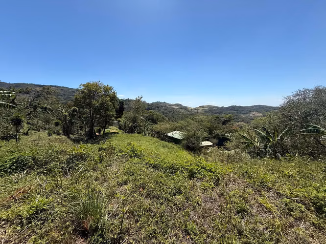 Vendo Hermoso Lote Santa Elena de Monteverde - Imagen 14