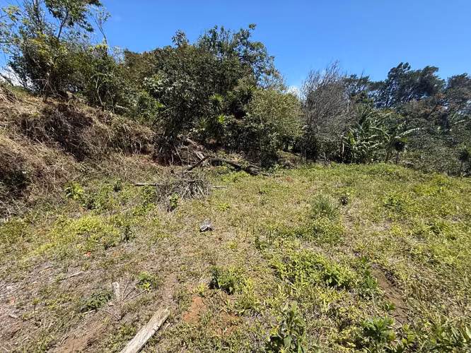 Vendo Hermoso Lote Santa Elena de Monteverde - Imagen 9