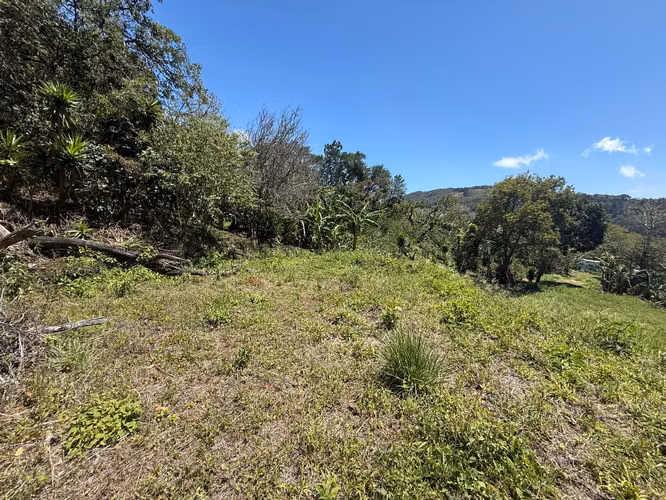 Vendo Hermoso Lote Santa Elena de Monteverde - Imagen 12