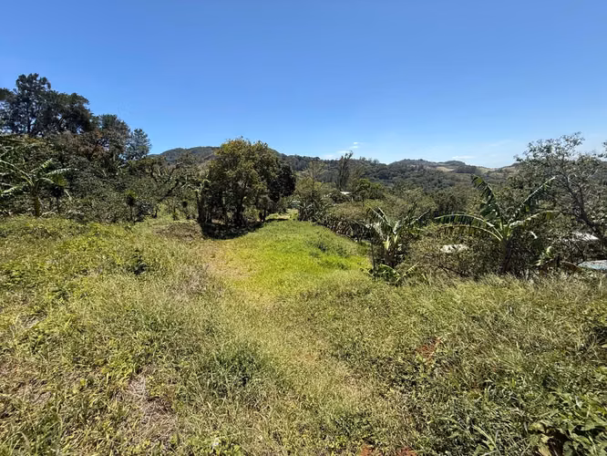 Vendo Hermoso Lote Santa Elena de Monteverde - Imagen 16