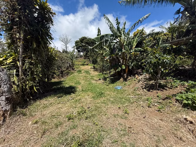 Vendo Hermoso Lote Santa Elena de Monteverde - Imagen 17