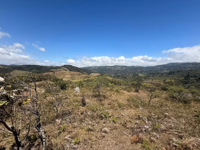VENDO LINDA PROPIEDAD EN Santa Elena de Monteverde! - Imagen 3