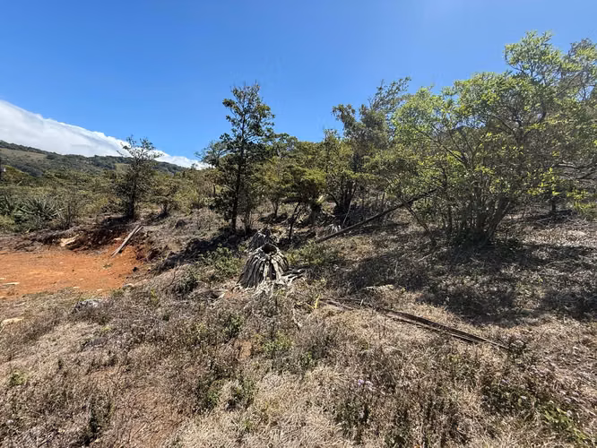 VENDO LINDA PROPIEDAD EN Santa Elena de Monteverde! - Imagen 14