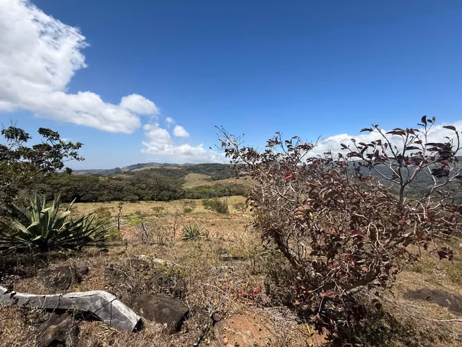 VENDO LINDA PROPIEDAD EN Santa Elena de Monteverde! - Imagen 9