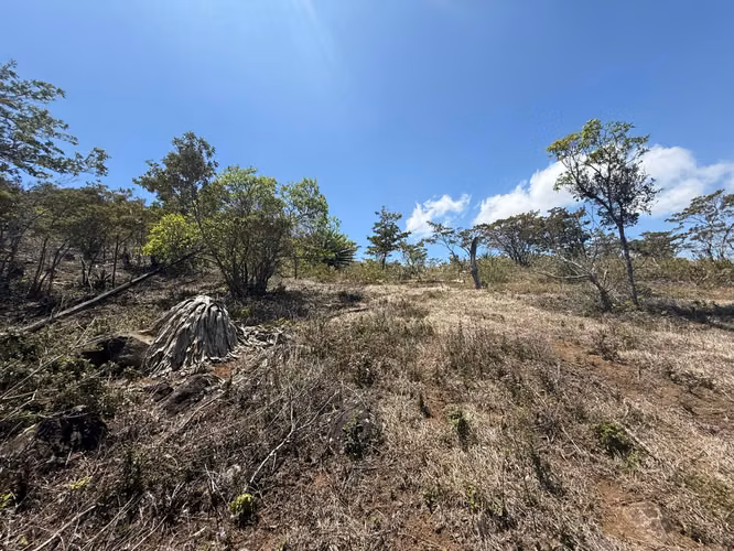 VENDO LINDA PROPIEDAD EN Santa Elena de Monteverde! - Imagen 16