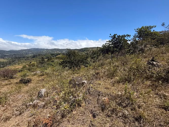 VENDO LINDA PROPIEDAD EN Santa Elena de Monteverde! - Imagen 7