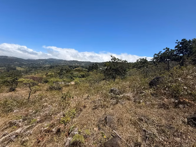 VENDO LINDA PROPIEDAD EN Santa Elena de Monteverde! - Imagen 4