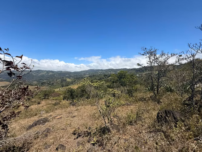 VENDO LINDA PROPIEDAD EN Santa Elena de Monteverde! - Imagen 8