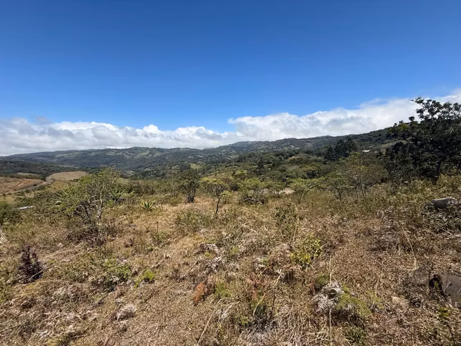 VENDO LINDA PROPIEDAD EN Santa Elena de Monteverde! - Imagen 2
