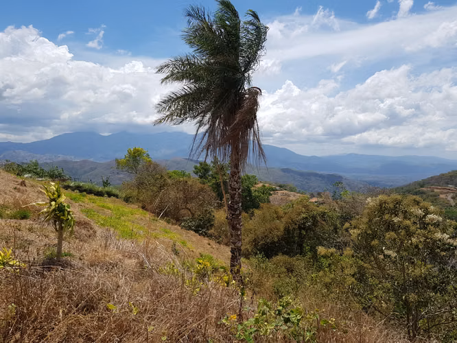 Lote con vista al mar y a Reserva Biológica Chompipe, Orotina - Imagen 6