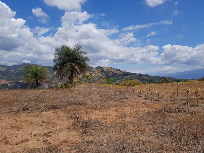 Lote con vista al mar y a Reserva Biológica Chompipe, Orotina - Imagen 7