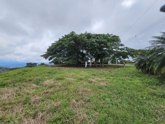 Lote en Residencial Vista Mar, entre Atenas y Orotina, Alajuela - Imagen 2