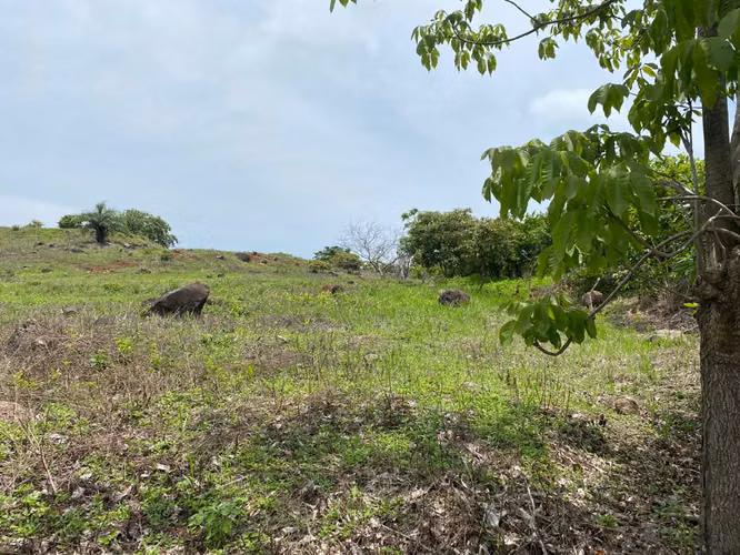 Amplio terreno en Residencial entre Atenas y Orotina - Imagen 6