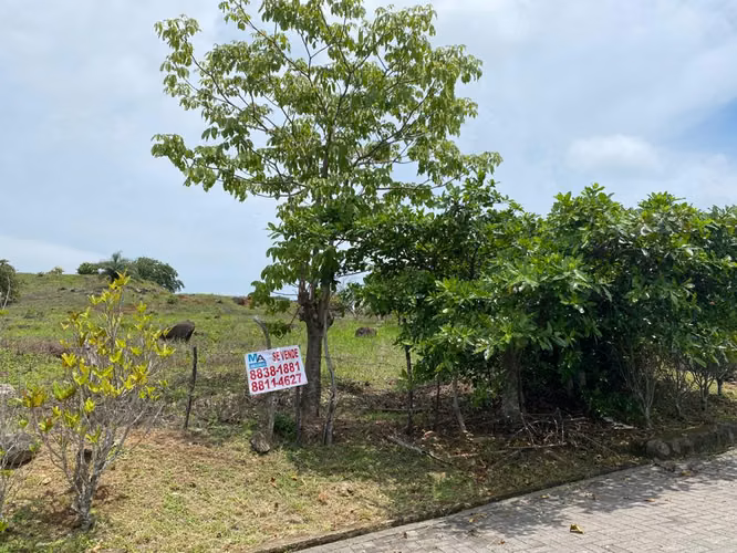 Amplio terreno en Residencial entre Atenas y Orotina - Imagen 3