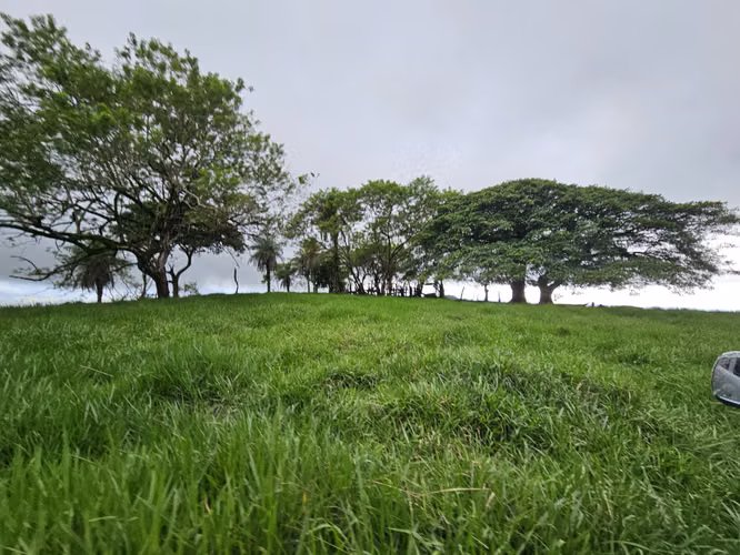 Finca 20 Ha vista al mar y Reserva Biólogica entre Atenas y Orotina, Alajuela - Imagen 5