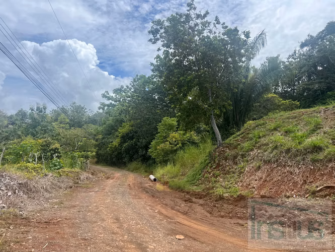 Venta de Lote en Esterillos Este. A 1km de la playa, calle privada. 1082m2 - Imagen 7