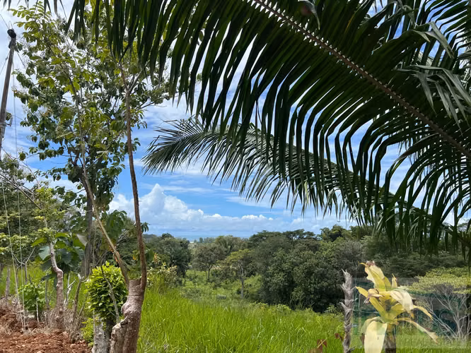 Venta de Lote en Esterillos Este. A 1km de la playa, calle privada. 1082m2 - Imagen 3