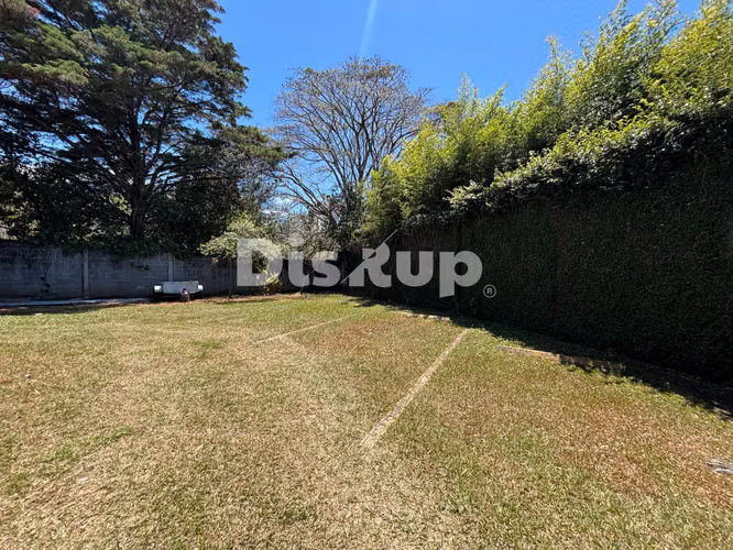 Alquiler de oficinas/consultorios entre 6 m2 y 50 m2. La Uruca, San José - Imagen 19