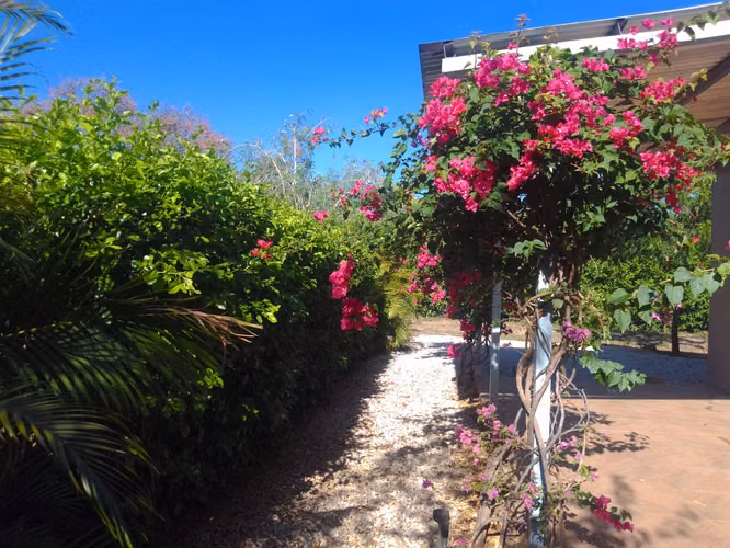 Venta de Casa con apartamento  en lote de 1406 m2 Santa Cruz Guanacaste - Imagen 4