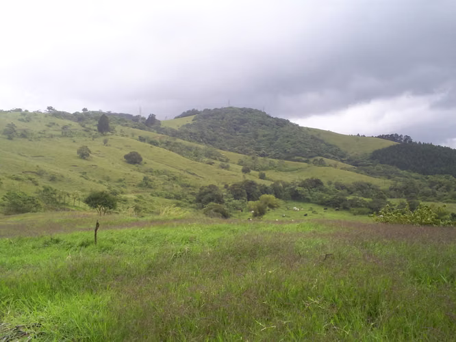 Finca Uso Industrial de 14 Ha en Ochomogo, Cartago - Imagen 4