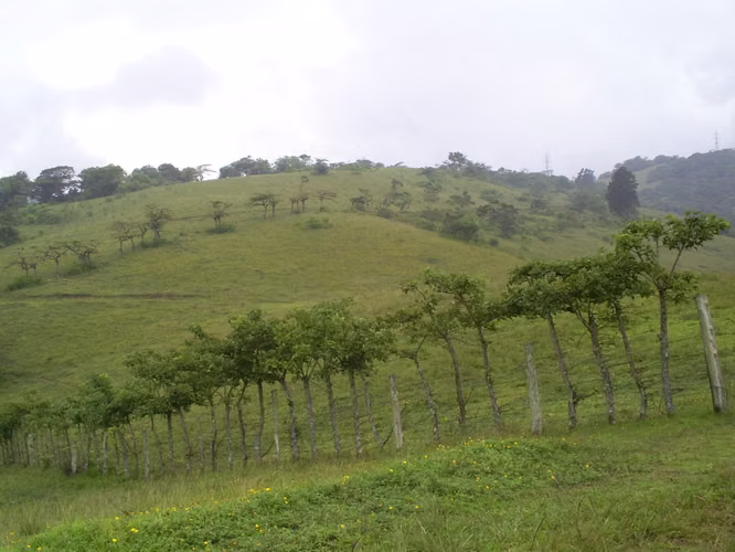 14 Ha Industrial Use Finca in Ochomogo, Cartago