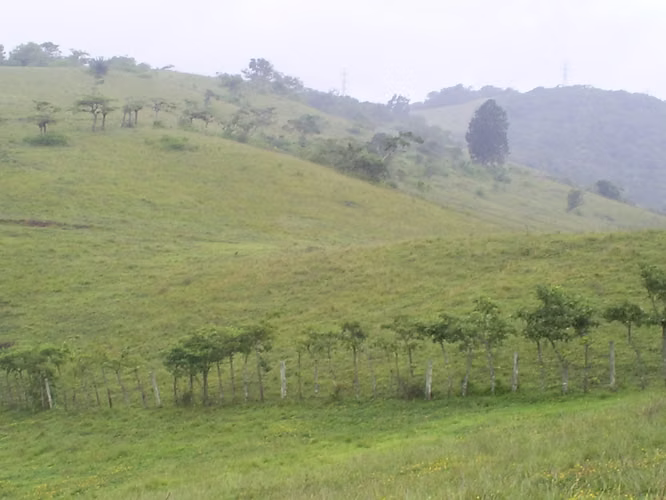 Finca Uso Industrial de 14 Ha en Ochomogo, Cartago - Imagen 2