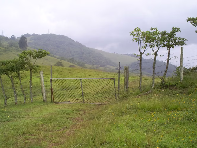 Finca Uso Industrial de 14 Ha en Ochomogo, Cartago - Imagen 3