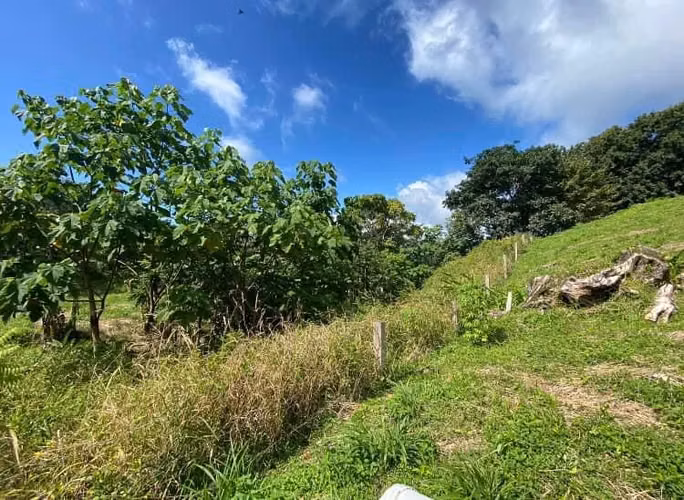 VENTA LINDO TERRENO EN MAL PAIS