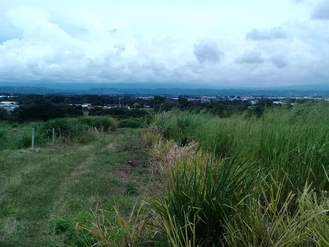 FINCA INDUSTRIAL EN ALAJUELA