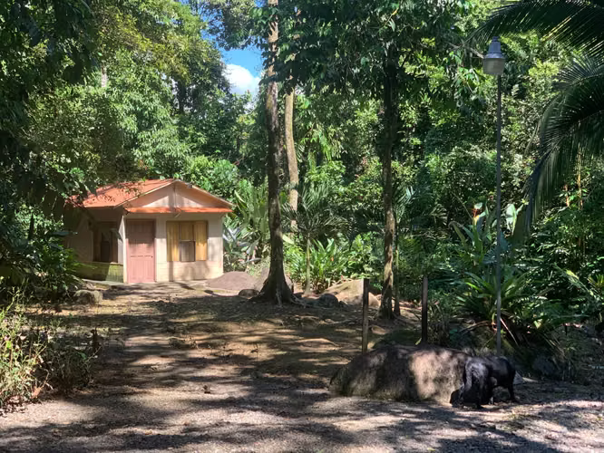 Casa rodeada de 40.000 m² de selva
