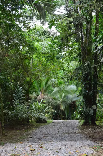 Casa rodeada de 40.000 m² de selva