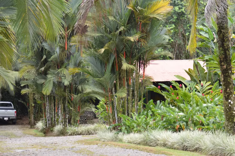 Casa rodeada de 40.000 m² de selva