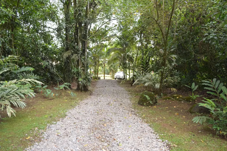 Casa rodeada de 40.000 m² de selva