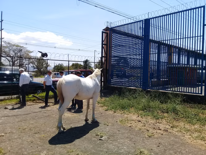 VENDO LOTE INDUSTRIAL.