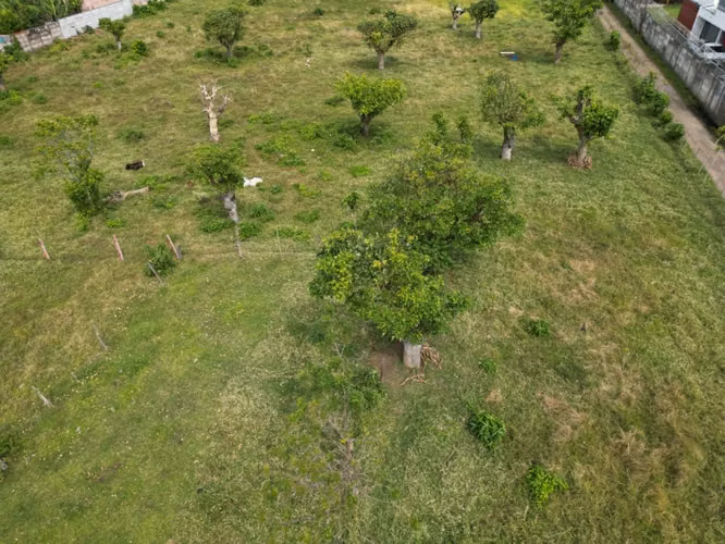 Lote de 6.235 m² para residencia privada en Santo Domingo - Heredia - Imagen 7