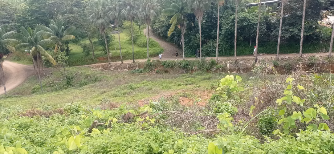 Propiedad en venta, cerca de la playa en Punta Mala, Osa, Puntarenas